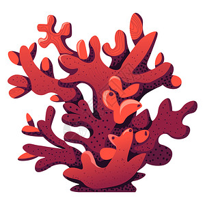 海底植物珊瑚插画_海底植物珊瑚卡通_海底植物珊瑚插图_手绘_板绘_摄