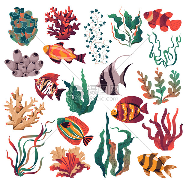 手绘精美海洋生物海洋植物插画图片下载-正版图片306624523-摄图网