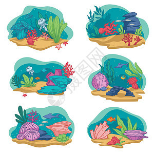 水下鱼类藻珊瑚插画图片