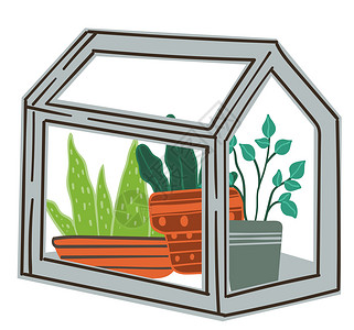 橙色或玻璃温室花朵带的孤立温室有锅的孤立温室花店杂摊或在家种植物和护理绿色被平式病媒花瓶种植的温室图片
