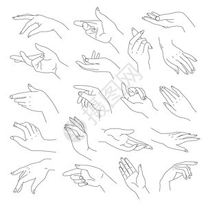 女手腕和指优雅的被孤立女身体部分指着手和势非语言信号线艺术和表情平板的矢量用手指和向的柔软手图片