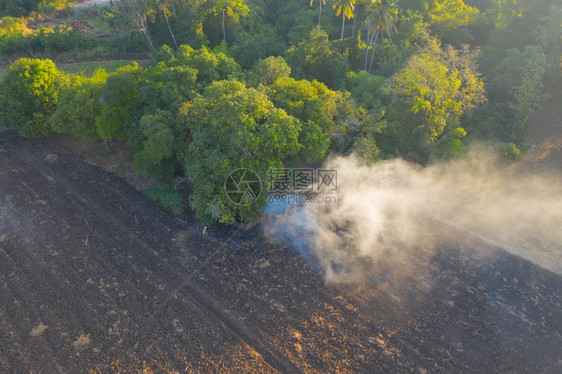 泰国曼谷市林中烧火和绿树产生的烟雾空中观察气污染和环境概念的自然景观背图片