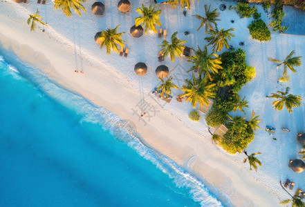 非洲桑给巴尔夏季热带风景包括棕榈树阳伞步行者蓝水海浪图片