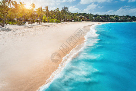 白沙滩海浪雨伞日落绿棕榈非洲桑给巴尔暑假棕榈树沙滩蓝水人天空等热带风景图片