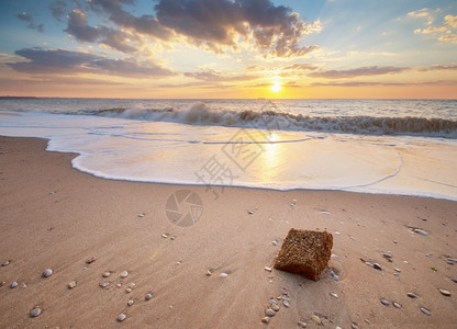 美丽的海滩岸景夏季自然构成图片