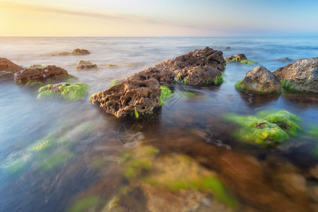 美丽的海景自然构成日落自然的合成水雾石头上的海藻背景图片