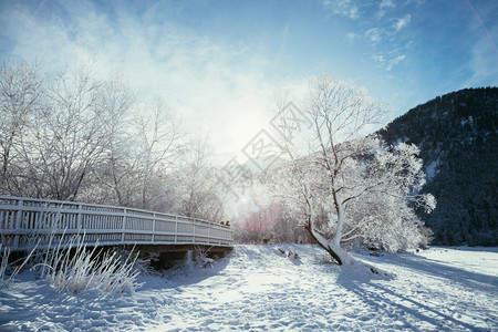 古时冬季风景木桥和雪树背景的山脉图片