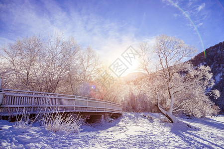 古时冬季风景木桥和雪树背景的山脉图片