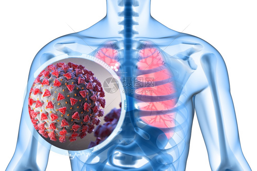 3D说明新冠是一种攻击呼吸道的病原体新冠是一种攻击呼吸道的病原体图片