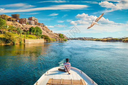 大尼罗河在阿斯旺的景象图片