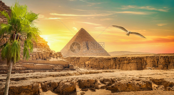 埃及金字塔在沙漠和清空天中的金字塔图片