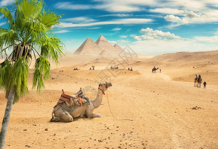 埃及日落时桑迪沙漠埃及图片