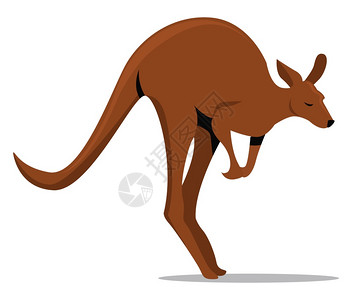 大米袋kangaroo跳跃插图白背景矢量插画