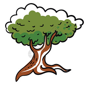 城市绿色橡树插图白底矢量插画