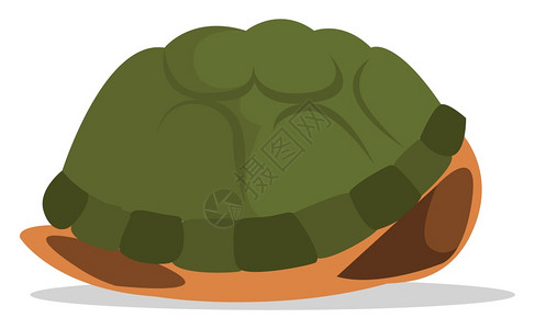 海龟礁插画_海龟礁卡通_海龟礁插图_手绘_板绘_摄图网