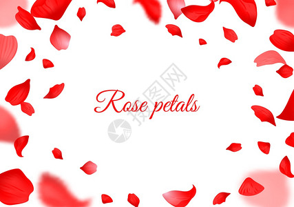红玫瑰花瓣落下的红玫瑰花瓣现实的飞行花瓣浪漫的情人节和婚礼装饰的植物框架模糊的花卉装饰元素样式平滑的矢量边界横向海报或传单落下的图片