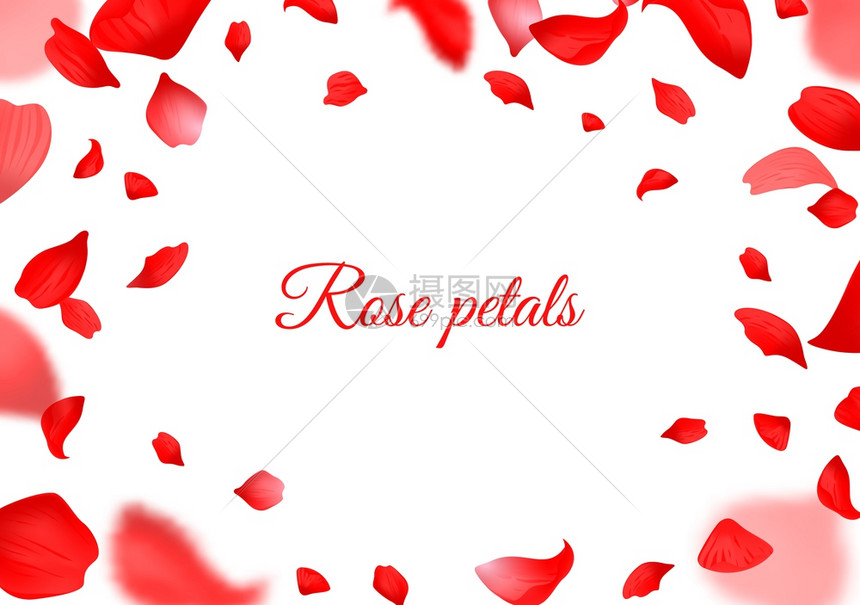 红玫瑰花瓣落下的红玫瑰花瓣现实的飞行花瓣浪漫的情人节和婚礼装饰的植物框架模糊的花卉装饰元素样式平滑的矢量边界横向海报或传单落下的图片
