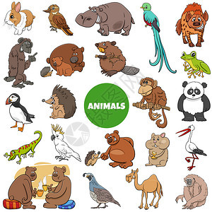 有趣的野生动物人漫画插图片