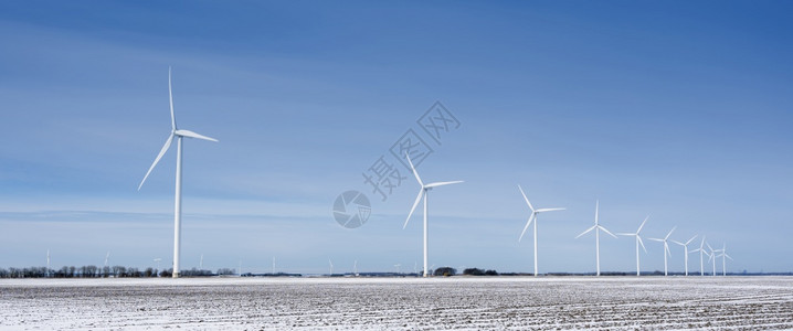 冬季在蓝天下flevoland的dutch产卵地下风力涡轮机覆盖着雪地和风力涡轮机图片