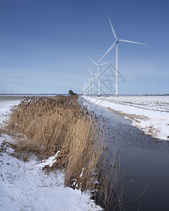 冬季在蓝天下flevoland的dutch产卵地下风力涡轮机覆盖着雪地和风力涡轮机图片