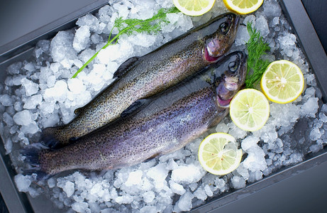 冰上新鲜鲑鱼鳟加柠檬片图片