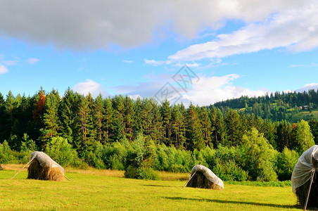 夏季草地上的干山上传统的喀尔巴阡山脉乡村风景图片