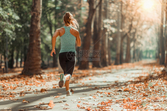 秋天公园妇女在户外慢跑图片