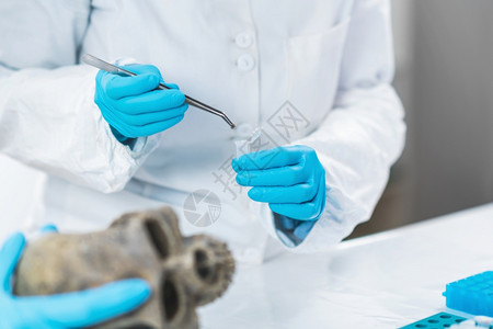 生物考古学家在DNA考古实验室中分析人头骨的DNA考古实验室学家分析实验室中的古人类地质材料图片