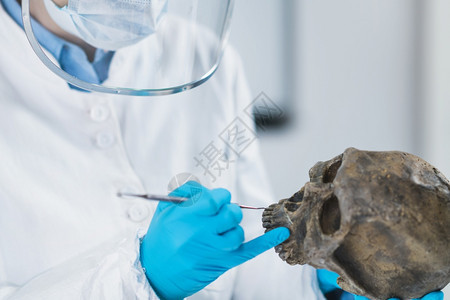 古代DNA分析女科学家在古代DNA实验室内持有微管和样本的女科学家图片