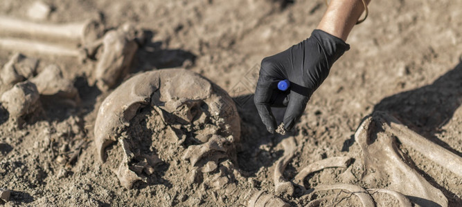 考古学挖掘古代人类遗骸在考古址安装挖掘工具箱图片