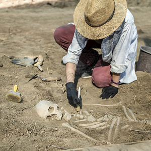 考古挖掘年轻学家从地下挖掘部分人体骨骼和头图片