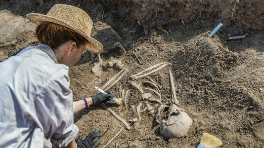 考古学从老挖掘遗骸图片