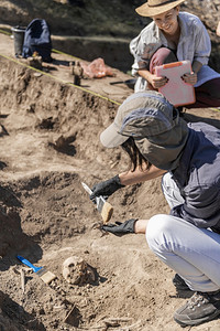 考古挖掘两名女考古学家拥有研究古代人类骨骼的工具图片