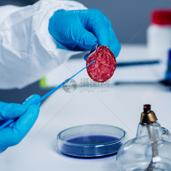 对实验室肉制品进行质量控专家检查图片