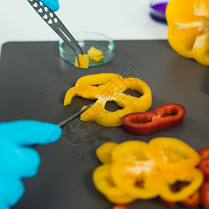 质量控制食品安全检查员在实验室与蔬菜一起工作高清图片