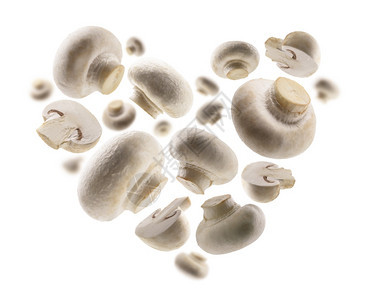 白色蘑菇背景的心脏形状白色背景的蘑菇形状图片