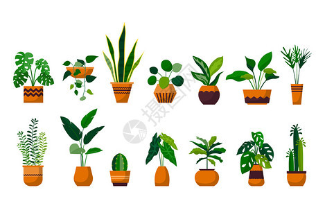 卡通绿色装饰植物元素图片
