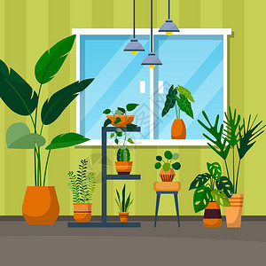 绿色装饰植物窗楼图片