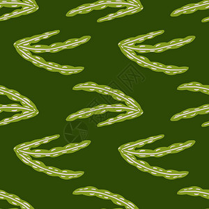 绿色海草矢量背景图图片