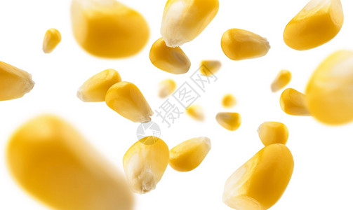 白色背景的裂纹玉米图片