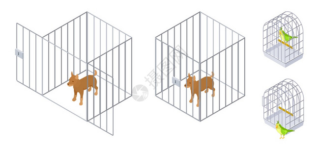 笼子动家养狗安全说明笼内动物和外的象形狗鸟宠物喂养病媒说明插画