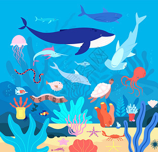 卡通海底世界的生物图片