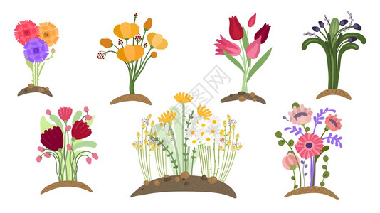 美女种植插画_美女种植卡通_美女种植插图_手绘_板绘_摄图网
