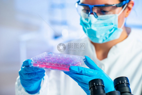 在实验室工作的Stem细胞研究人员图片