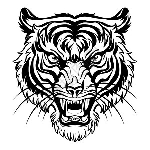 蒜香黑虎虾插画