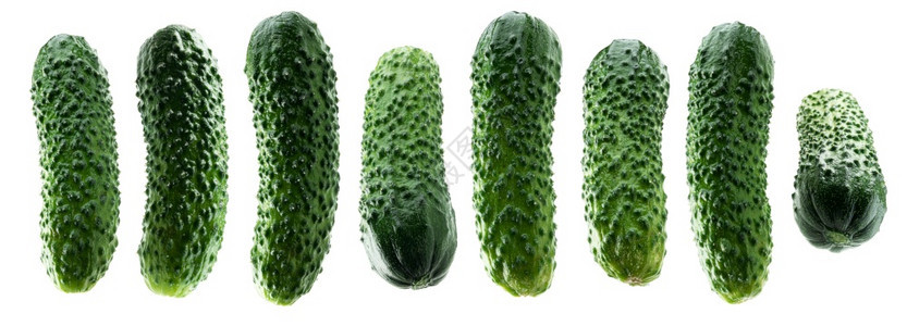 一组绿色黄瓜孤立在白色背景上孤立在白色背景上图片