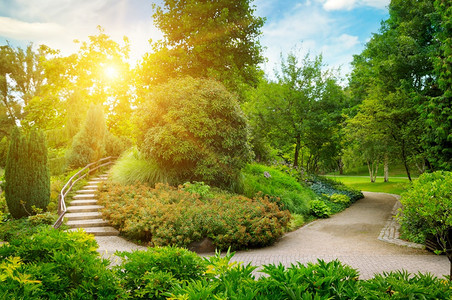 一座城市花园草茂盛石道和装饰楼梯图片