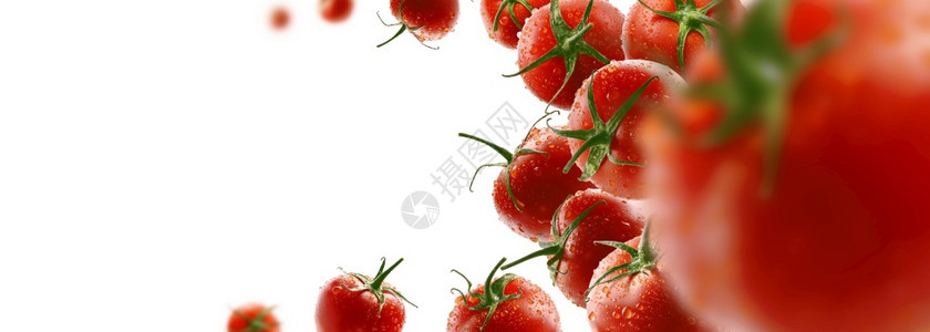 红西番茄在白背景上浮图片