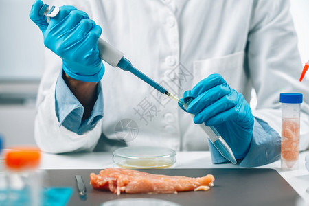 食品安全和质量评估微生物学家对禽样本进行检测以发现沙门氏菌和大肠鲑鱼食品安全和质量评估微生物学家对沙门氏菌和EColi的家禽样本图片