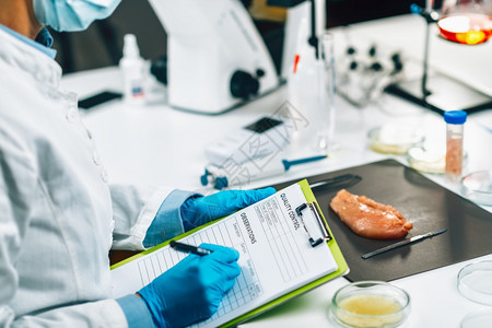 食品安全和质量管理食品安全和质量检查员在实验室填写质量控制表格背景的家禽样本在实验室填写质量控制表格的检查员在实验室填写质量控制背景图片
